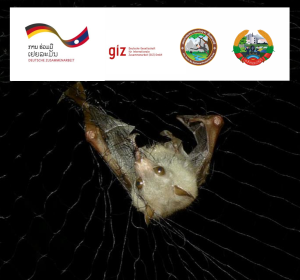 Newsletter thumbnail
